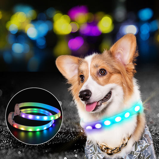 Rechargeable Collar Pet Supplies Luminous Leisure Dog Walking Leash